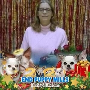 Meet your Posher, Robin